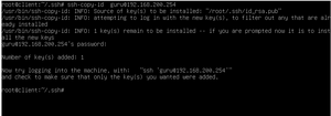 File key export sukses.png