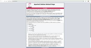 Apache3.jpg