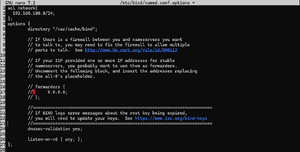 Dns-cache5.png