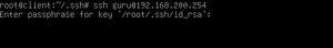 Remote ssh publik key.png