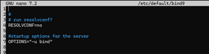Dns-cache.png