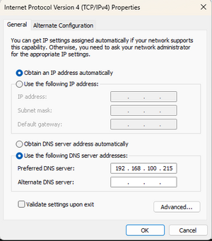 Dns-cache6.png