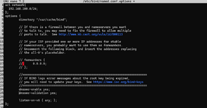 Dns-cache3.png