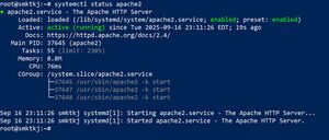 Apache2.jpg