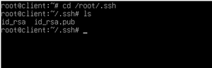File key.png