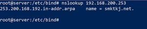 DNS1.jpg