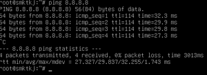 Tes ping.png