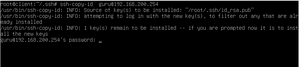 File key export.png