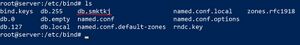 Named.conf.local3.jpg